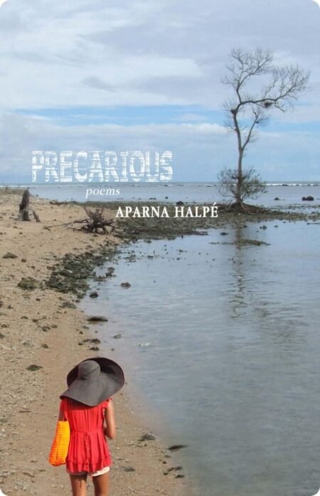 Precarious By Aparna Halpe